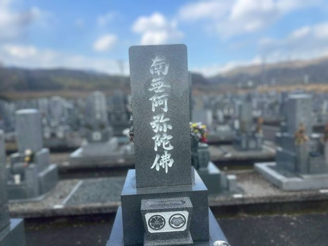 大垣市青野霊園　お墓リフォーム　①お墓クリーニング・白入れ直し